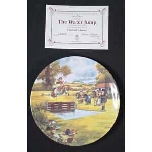 Danbury Mint Royal Worcester Thelwell's Ponies 'The Water Jump' Collector Plate